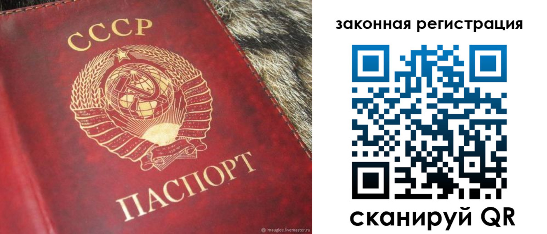 прописка от собственника в Нижнекамске